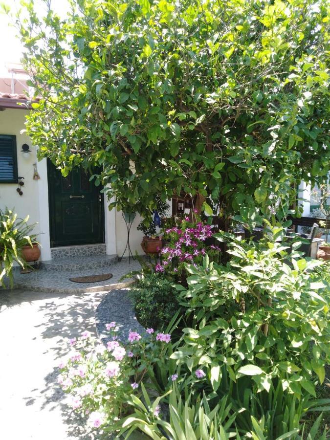 Arhontiko Kastelorizia Vila Afantou Exterior foto